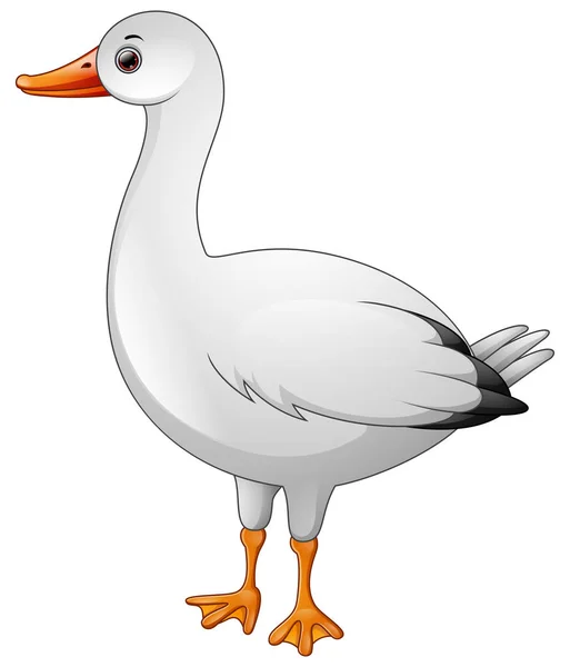 Cute white goose cartoon — Stock Vector