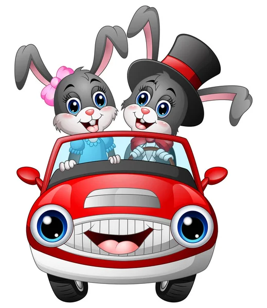 Романтические пары мультяшный кролик за рулем автомобиля — стоковый вектор