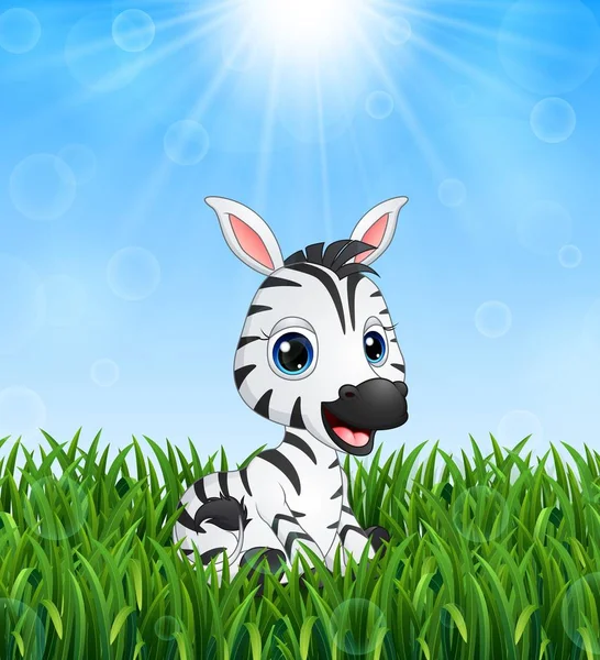 Lindo bebé cebra de dibujos animados en la hierba sobre un fondo de sol brillante — Vector de stock