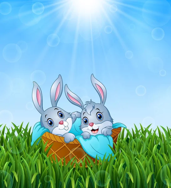 Baby bunnies in a basket with a towel on the grass background — Stock Vector