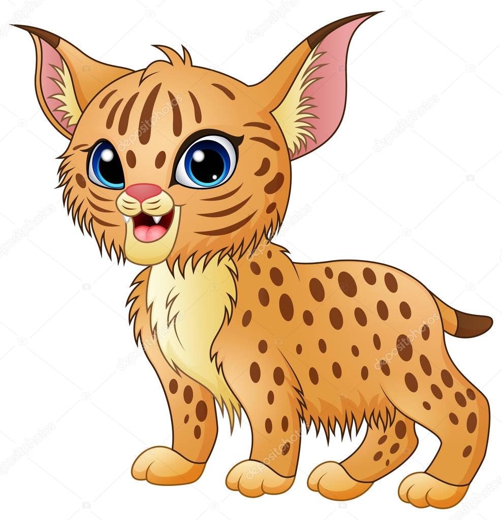 Cute cartoon bobcat
