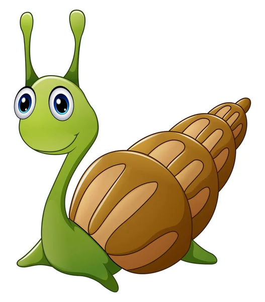 Cute snail cartoon — Stock Vector