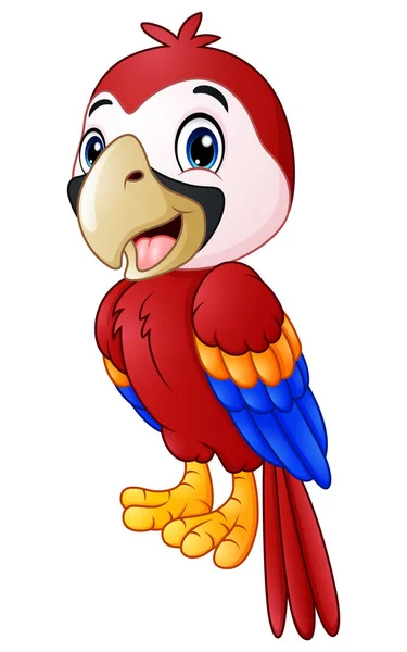 Divertente macaw uccello cartone animato — Vettoriale Stock