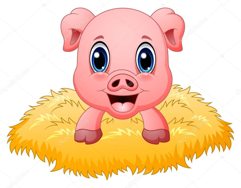 Cute pig cartoon in the nest
