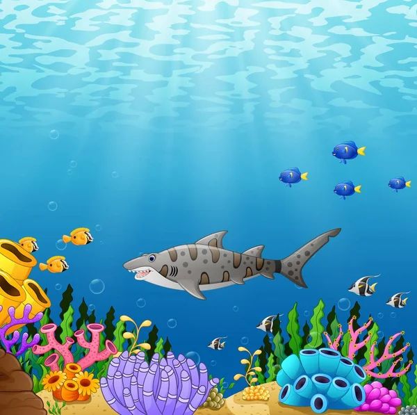 Dibujos animados peces tiburón tropical con hermoso mundo submarino — Vector de stock