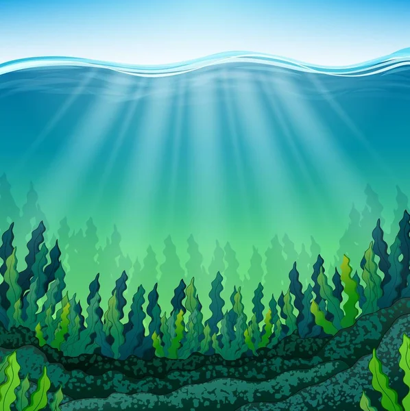 Algen auf dem Meeresboden — Stockvektor