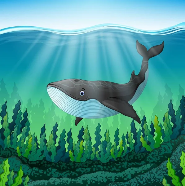 Baleia dos desenhos animados nadam no mar — Vetor de Stock
