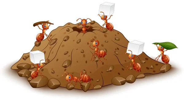 Cartoon mieren kolonie met mierenhoop — Stockvector