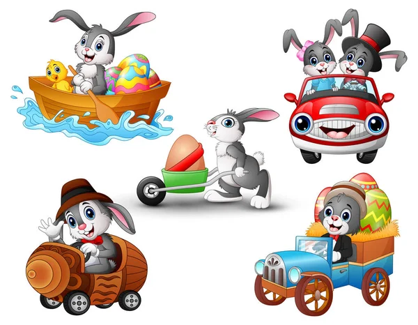 Zestaw królik kreskówki jazdy pojazdu — Wektor stockowy