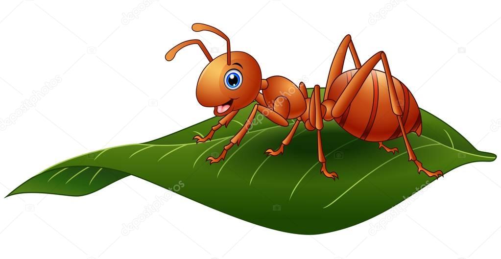 Cartoon ant on the leaf
