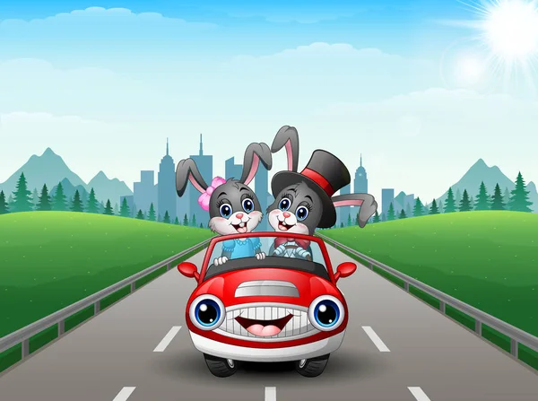 Ζευγάρια κουνελιών γελοιογραφία οδήγηση ενός αυτοκινήτου σε φόντο πόλης — Διανυσματικό Αρχείο