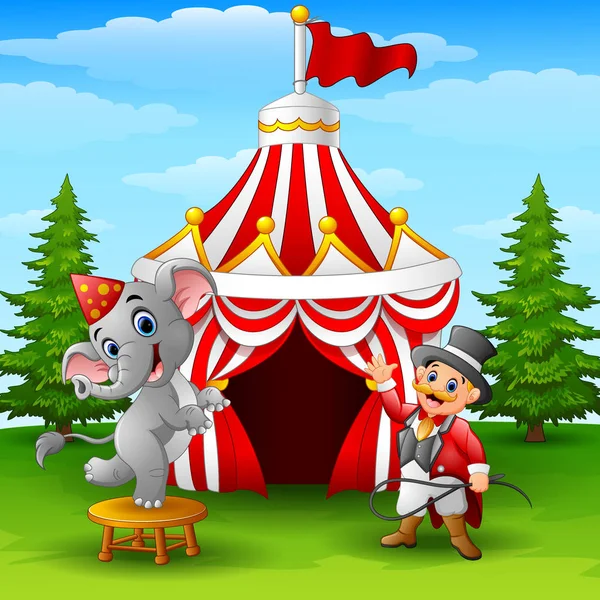 Circus elephant and tamer on the circus tent background — Stock Vector