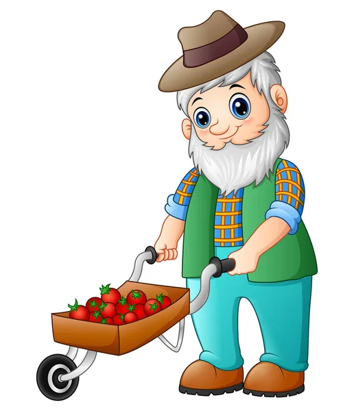 Γενειοφόρος κηπουρός πιέζει ένα καλάθι φράουλα — Διανυσματικό Αρχείο