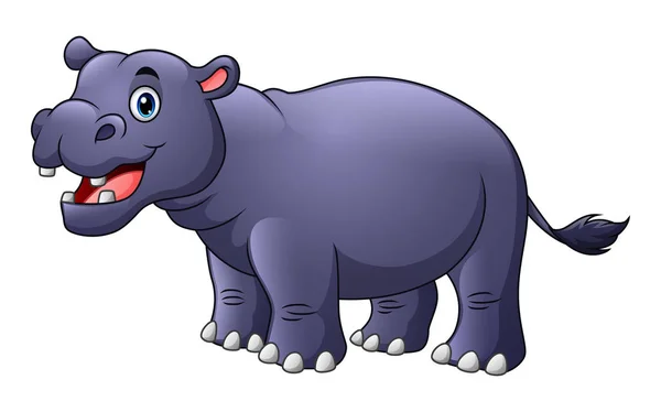 Schattig hippo cartoon — Stockvector