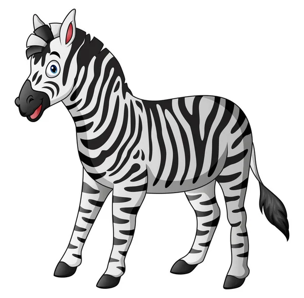 Şirin zebra karikatür — Stok Vektör