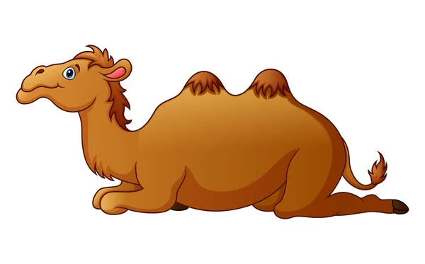 Kreskówka wielbłąd — Wektor stockowy