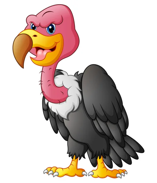 Cute vulture cartoon — Stock Vector