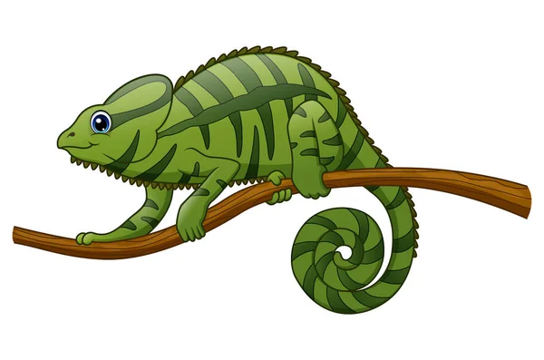 Kreskówka kameleon na gałęzi — Wektor stockowy