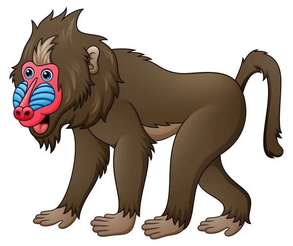 Mandrill babuino de dibujos animados — Archivo Imágenes Vectoriales