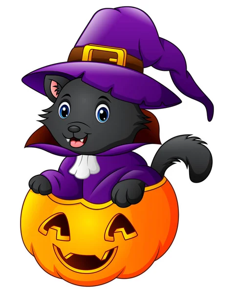 Gatto nero vestito da strega su una zucca di Halloween — Vettoriale Stock