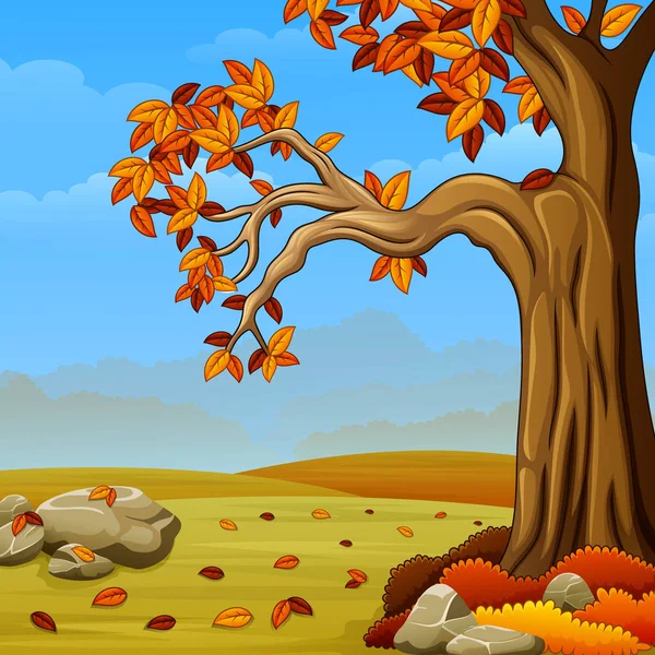 Hermoso paisaje de otoño — Vector de stock