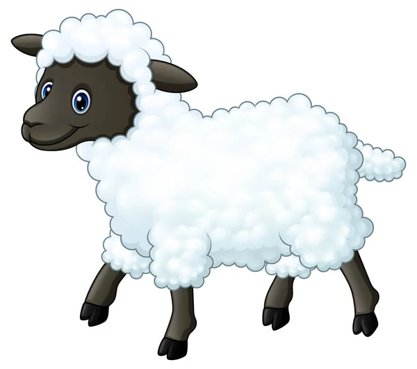 Mignon dessin animé moutons — Image vectorielle
