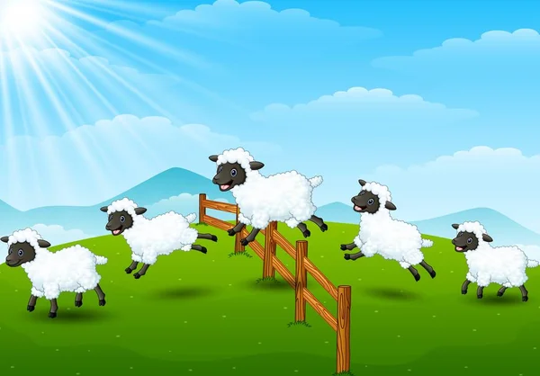 Mignon dessin animé collection de moutons mis en arrière-plan de champ — Image vectorielle