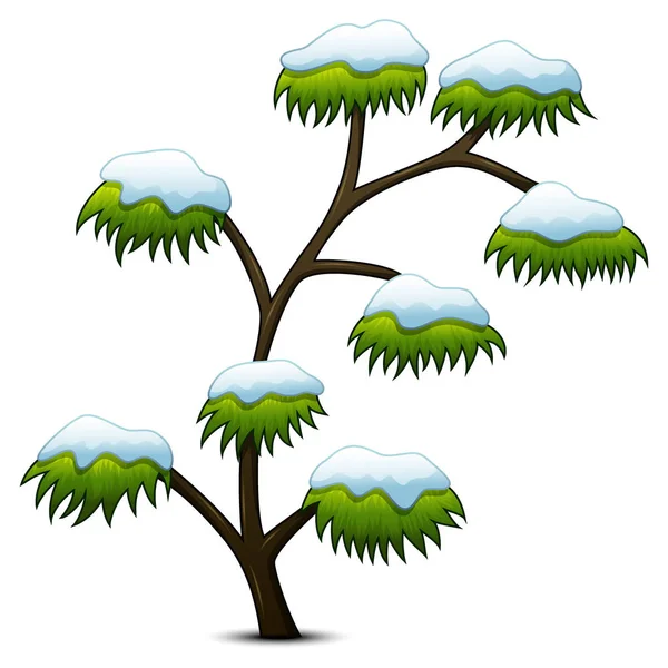 Árvore coberta de neve isolada sobre fundo branco — Vetor de Stock