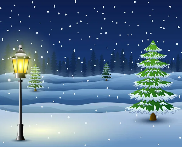 Winternacht Hintergrund mit Kiefern und Straßenlaterne — Stockvektor
