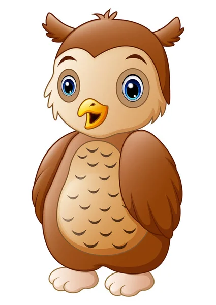 Vector Illustration Cute Owl Cartoon — Stock Vector