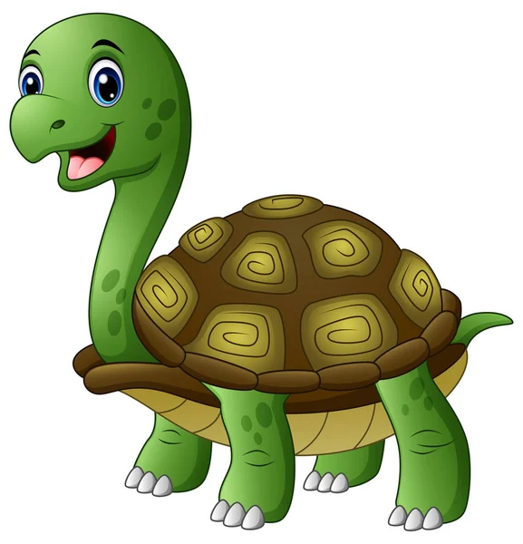 可爱的乌龟向量插图卡通孤立在白色背景 — 图库矢量图片