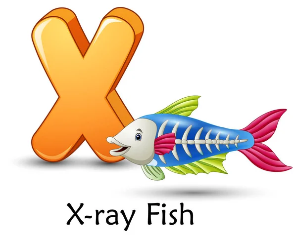 Vector Illustration Letter Ray Fish Cartoon Alphabet — Stock Vector