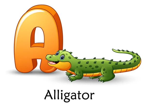 Vektor Illustration Bogstav Alligator Tegneserie Alfabet – Stock-vektor