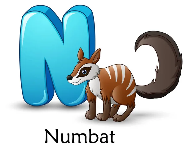 Illustration Vectorielle Lettre Pour Alphabet Dessin Animé Numbat — Image vectorielle