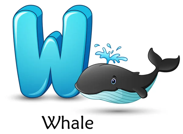Vectorillustratie Van Letter Voor Whale Cartoon Alfabet — Stockvector