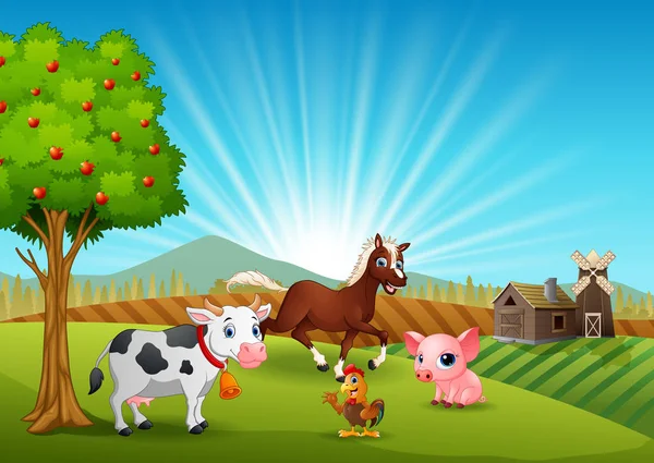 Vektorové Ilustrace Farmy Zvířat Činnost Ráno — Stockový vektor