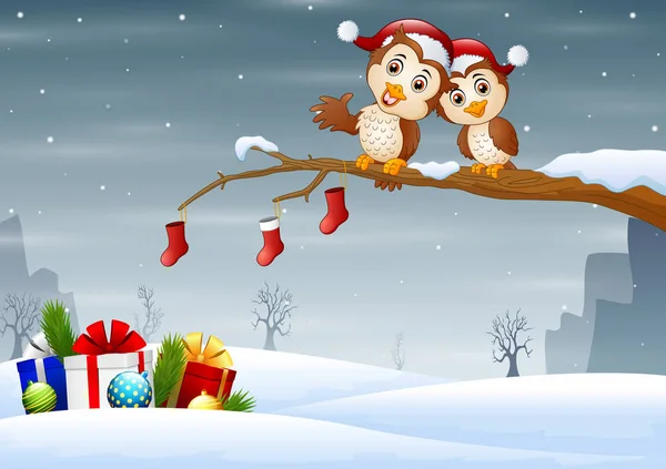 在树的树枝上的圣诞帽猫头鹰情侣 — 图库矢量图片