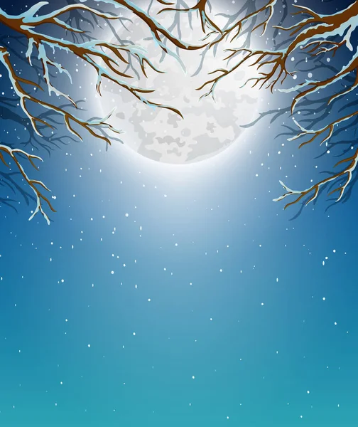 Winter Background Tree Branch Moonlight — Stock Vector