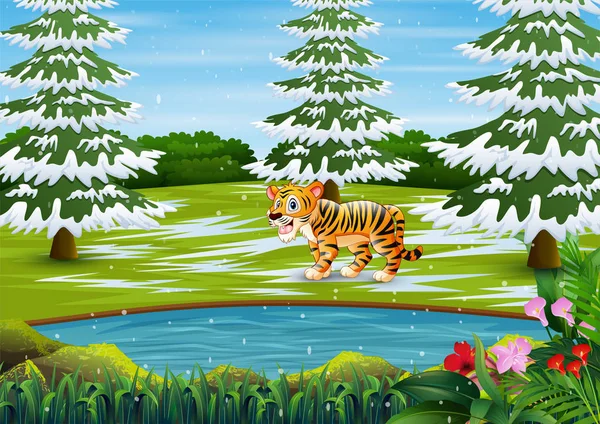 Tigre Dos Desenhos Animados Paisagem Floresta Inverno —  Vetores de Stock