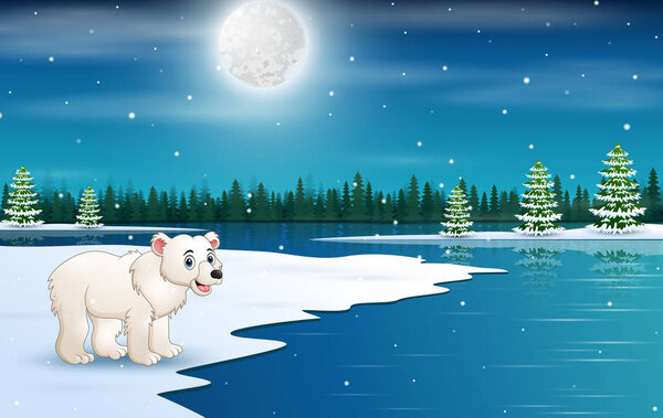 Cute polar bear in the winter background