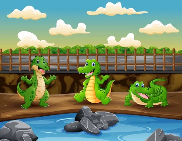 Scene Three Crocodiles Zoo Illustration — Stock Vector
