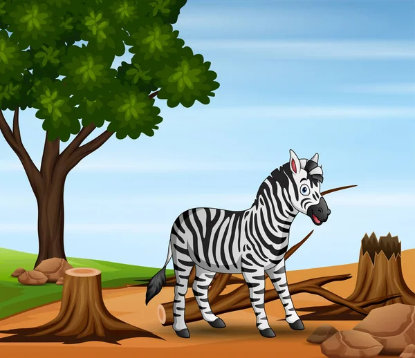 Cena Fundo Com Desmatamento Ilustração Zebra — Vetor de Stock