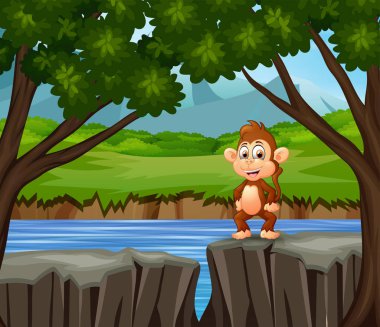 A monkey standing on the cliff