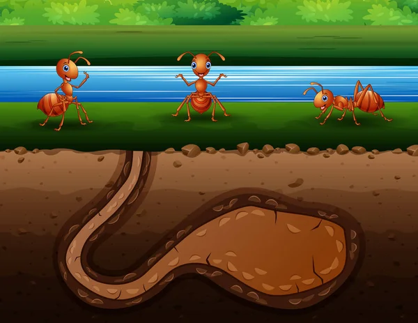 Ilustração Uma Colônia Formigas Vermelhas Margem Rio — Vetor de Stock