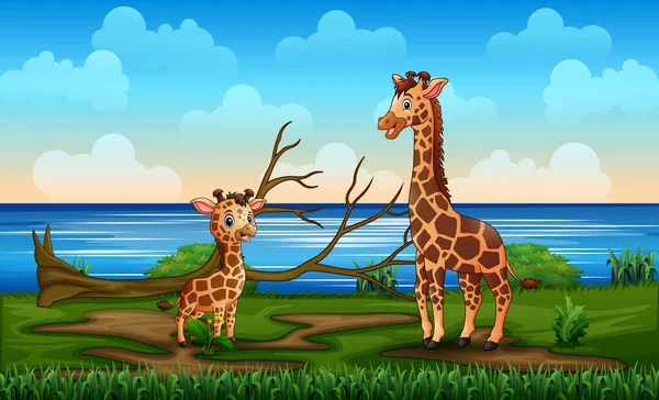 Giraffe Her Cub Enjoy Riverbank — Stock Vector