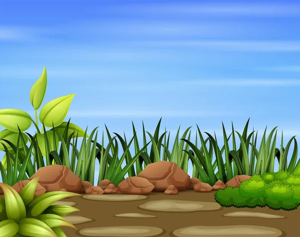 Grens Groen Gras Natuur — Stockvector