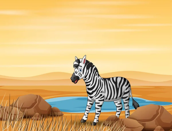 Desenhos Animados Uma Zebra Que Vive Terra Seca — Vetor de Stock