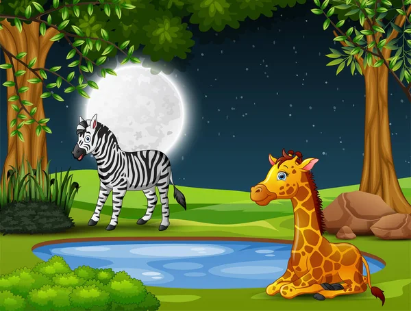 Zebra Žirafa Těší Přírodě Noci — Stockový vektor