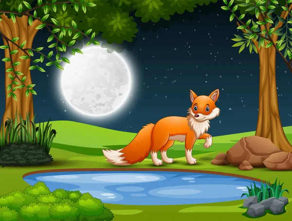 Μια Αλεπού Ψάχνει Για Θήραμα Νύχτα — Διανυσματικό Αρχείο