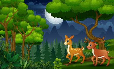 Gece ormanlarında vahşi ren geyikleri